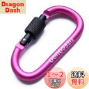 TITECOUGO アウトドア カラビナ おしゃれ 登山 小型 アルミ Dフック 頑丈 ネジロック バンジーコード ブランコ hammocks テント ?キャン...