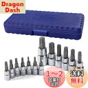 WORKPRO トルクスビットソケットセット トルクスレンチ 差込角 6.35mm 9.5mm 12.7mm 13点1セット