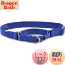 PetSafe(ペットセーフ)犬用首輪 プレミアカラー ロイヤルブルー Pサイズ(幅1cm)
