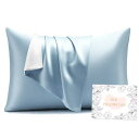 【送料無料】HOdo Home シルク枕カバー 洗える シルクピローケース 封筒式枕カバー 寝癖軽減 美髪美顔 美肌 抗菌防臭 敏感肌に優しい ギフト 贈り物 ...