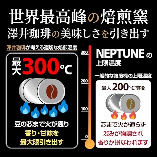 【送料無料】澤井珈琲 コーヒー 専門店 レギュラーコーヒー バリエーション3 dragondash-10108392 DragonDash楽天市場店 サンプル画像3