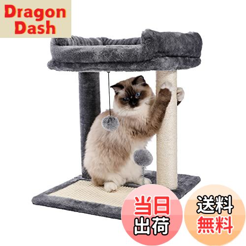 DragonDashŷԾŹ㤨̵֡PAWZ Road åȥ ߥ ǭ 㤤 ѥƥå ֤ ޸ ޤȤݡ  ѥ ʥڡ ǭΤ  Ÿ˾ - ⤵45cmפβǤʤ4,436ߤˤʤޤ