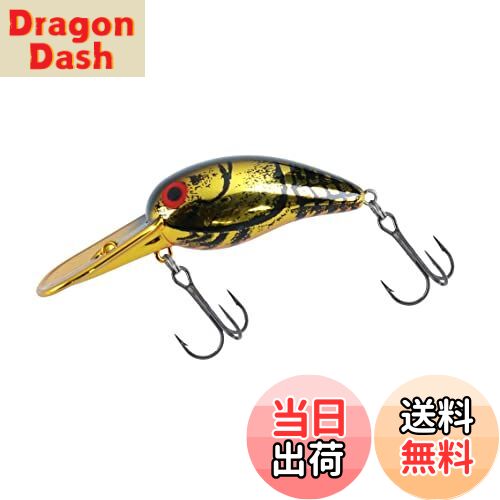 【送料無料】ダイワ(DAIWA) ワイルドピーナッツ/タイニーワイルドピーナッツ/ラトリンワイルドピーナッ..