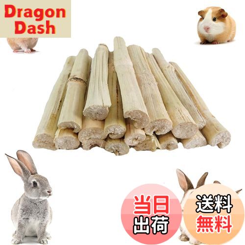 【送料無料】YIBOOOM 100g入りりんご枝 うさぎ おもちゃ かじり ハムスター おやつ チンチラ かじり木 ..