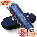 【送料無料】East top ハーモニカ ブルース 10穴ハーモニカ D調 10ホール20トーン 真 ...