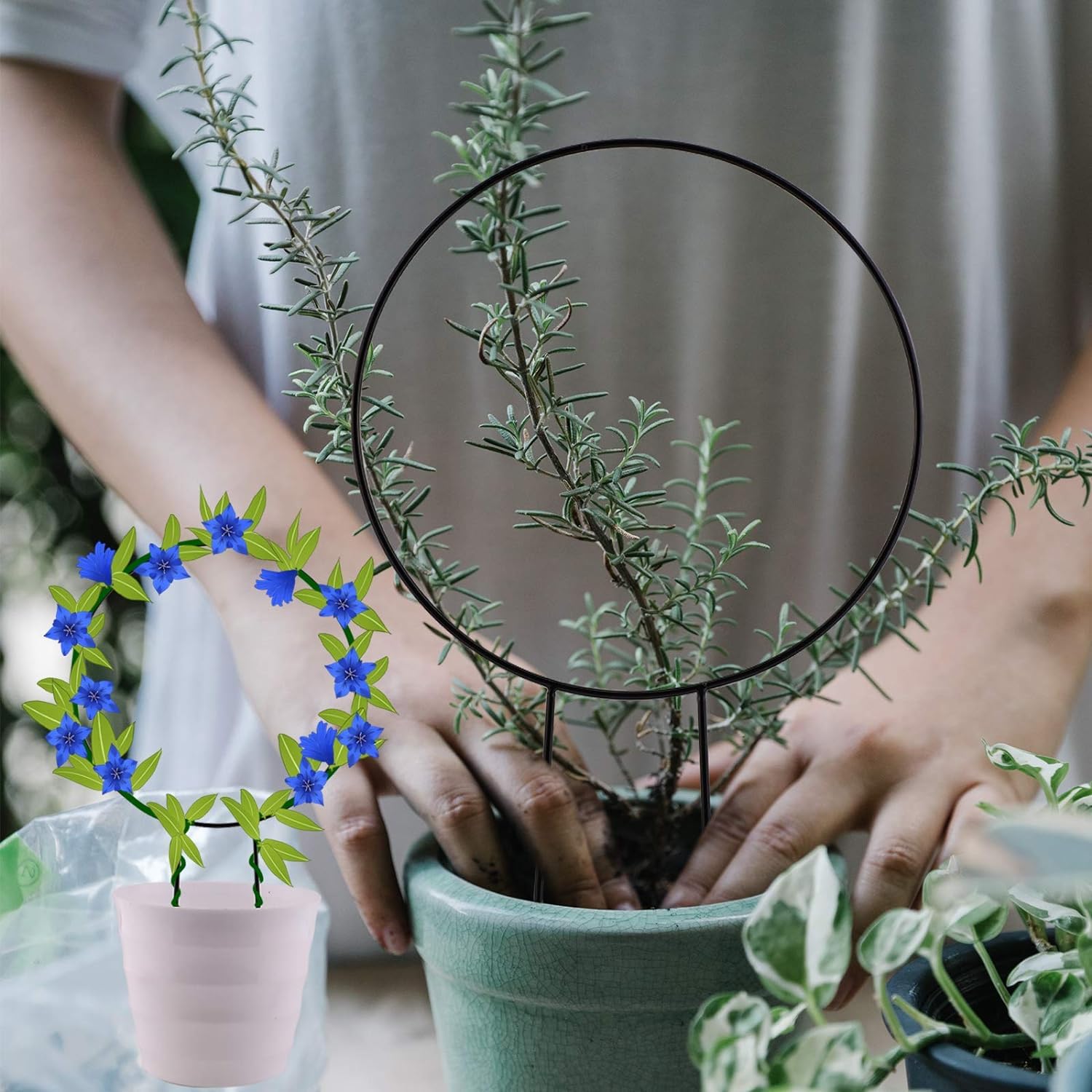 【送料無料】siawadeky 植物支柱 観葉支柱 2個セット 円形 観葉 つる植物 植物サポ...