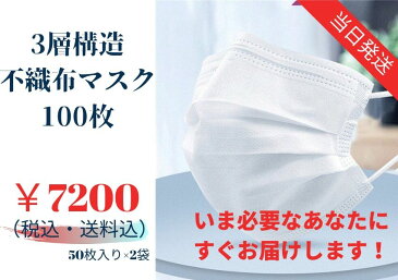 【在庫あり/即納/送料無料】100枚入り 3層構造 不織布 使い捨て マスク|国内発送 ウイルス対策 ふつうサイズ 防塵 ほこり 花粉症 日本国内出荷 飛沫感染対策 インフルエンザ 風邪 ますく