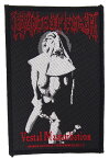 クレイドル オヴ フィルス・CRADLE OF FILTH・VESTAL MASTURBATION・刺繍パッチ・ワッペン・オフィシャルパッチ