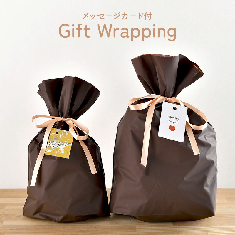 ラッピング 個別 ギフト 贈り物 ギフトラッピング gift 誕生日 プレゼント プレゼントラッピング あす楽 ギフト 母の日 父の日