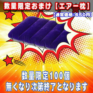 エアー枕おまけ