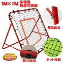 【5月入荷予定/予約】サッカー：高機能ミニゴール アルファゴール ALPHA GOL 5FT 155cmx95cmx75cm　1/2組（1台）ラップカラーが選べます！【ALPHA GEAR】【送料無料/沖縄、離島は別途送料がかかります】【 5月お買い物マラソン 】