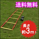 トレーニングラダー 3m トレーニング用品 野球 陸上 ラグ...