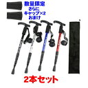 登山 ステッキ 2本セット ストック トレッキングステッキ ...