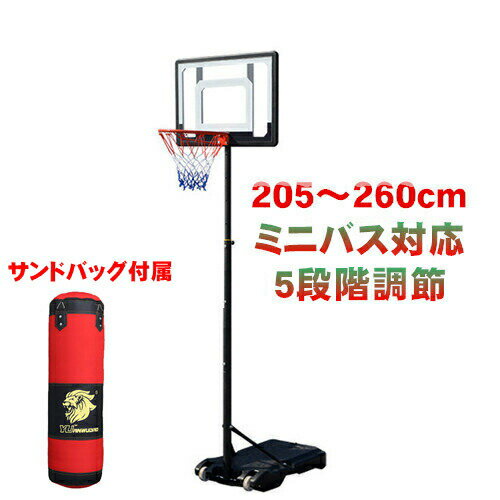 SALE 10900円→9900円 ミニバス対応 バスケットゴール バスケットボール ゴール バスケット ゴール スタンド ポータブル 子供 大人 キッズ ジュニア 小学生 5号球 7号球 家庭用 自主練 バスケ 持ち運び 部活 室内 室外 練習 屋内 屋外 外用 こども 中学生 高校生