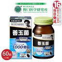 【正規品】野口医学研究所 NOGUCHI 善玉菌 60粒 約30日分(4)
