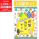 【10袋セット】 花梨 カリン のど飴 40g ※賞味期限:2026年4月1日※ かりん ハーブ エキス 配合 国産 カリン エキス 配合 飴 キャンディ 黄金糖 まとめ買い お得