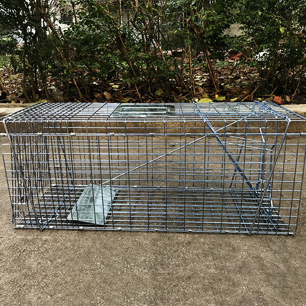 捕獲器 動物捕獲器 アニマルキャッチャー 害獣 折り畳み 組み立て式 保護器 アニマルトラップ トラップケージ イタチ いたち ハクビシン アライグマ キャッチャートラップゲージ