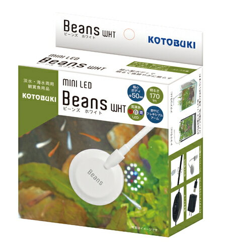 【送料無料】コトブキ ミニLED ビーンズ ホワイト 【LED・Beans・クリップ式】