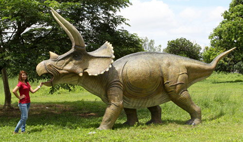 全長6．2m！トリケラトプス　超巨大フィギュアC（恐竜等身大フィギュア）