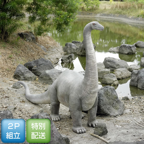 高さ215cm 子供の ブロントサウルス(恐竜...の紹介画像3