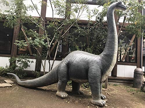 高さ215cm 子供の ブロントサウルス(恐竜等...の商品画像