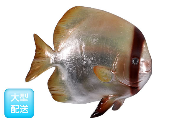 ツバメウオ　壁掛けフィギュア（等身大フィギュア）