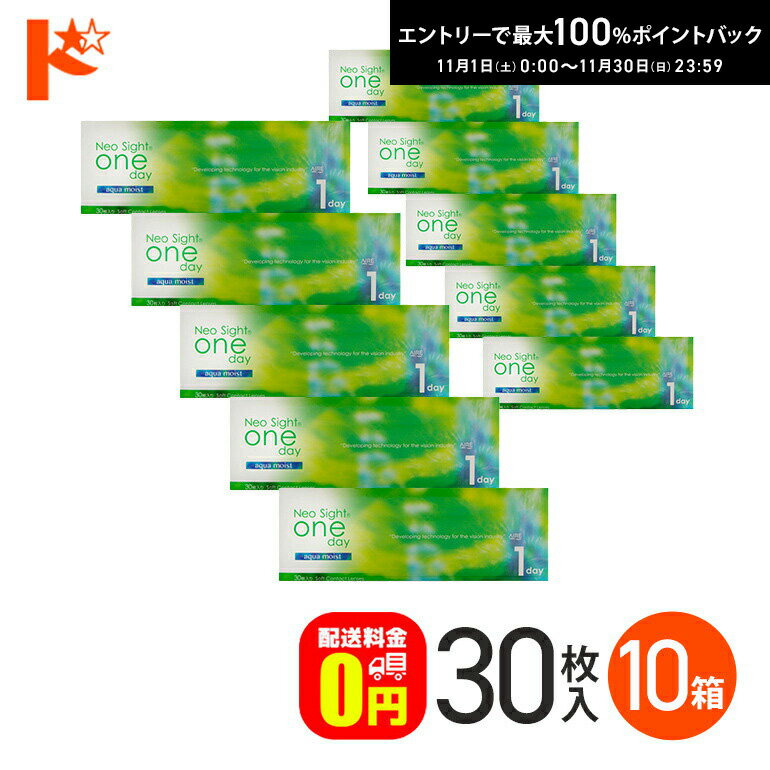 最大100%ポイントバック！11/30の23:59まで♪ネオサイトワンデーアクアモイスト 30枚入 10箱セット 【送料無料】
