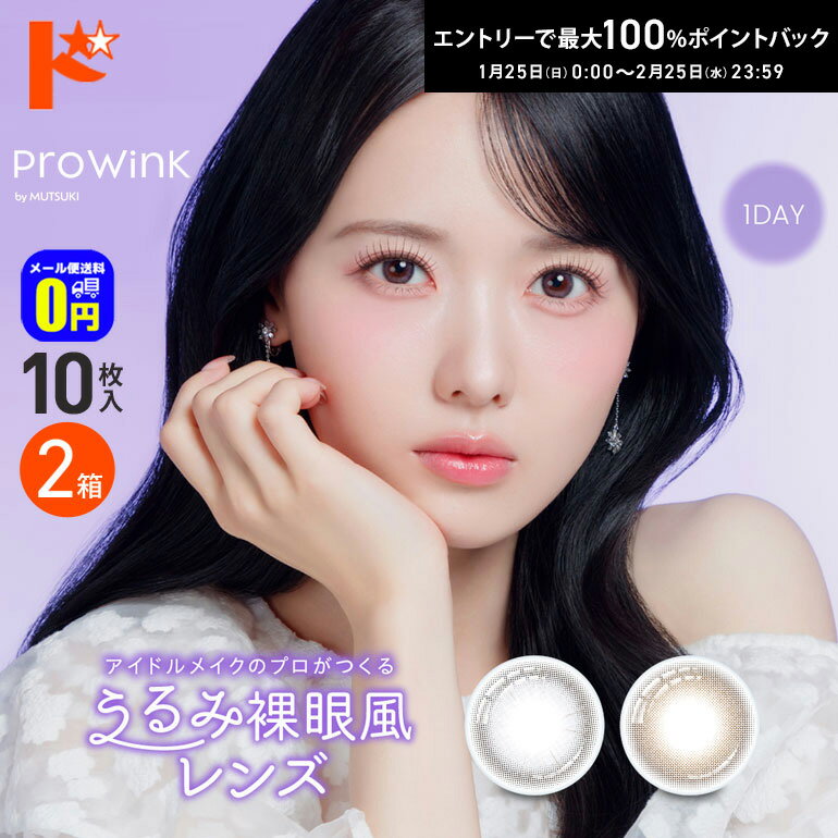 最大100%ポイントバック！2/25の23:59まで♪◆メール便送料無料◆プロウィンク ProWink 10枚入 2箱セット カラコン ワンデー