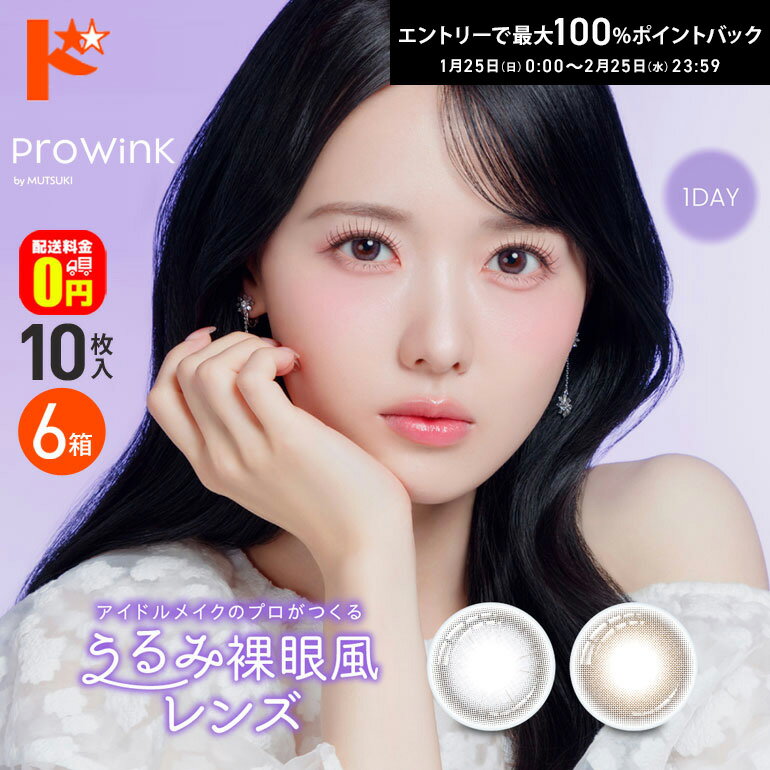 最大100%ポイントバック！2/25の23:59まで♪【送料無料】プロウィンク ProWink 10枚入 6箱セット カラコン ワンデー