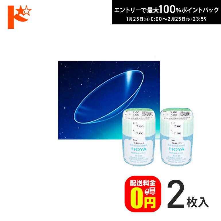 最大100%ポイントバック！2/25の23:59まで♪【送料無料】ハードEX 2枚セット HOYA ハードコンタクトレンズ HARD EX