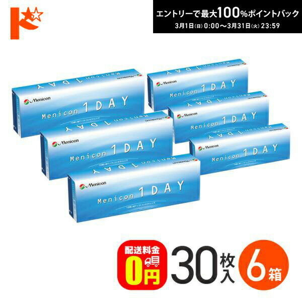 最大100%ポイントバック！3/31の23:59まで♪メニコンワンデー 30枚入 6箱セット 【送料無料】