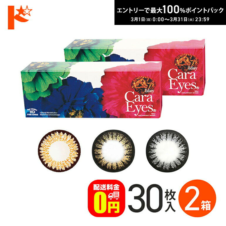 最大100%ポイントバック！3/31の23:59まで♪【送料無料】ワンデーキャラアイ コンタクトレンズ 10枚入 2箱セット 1日使い捨てカラコン