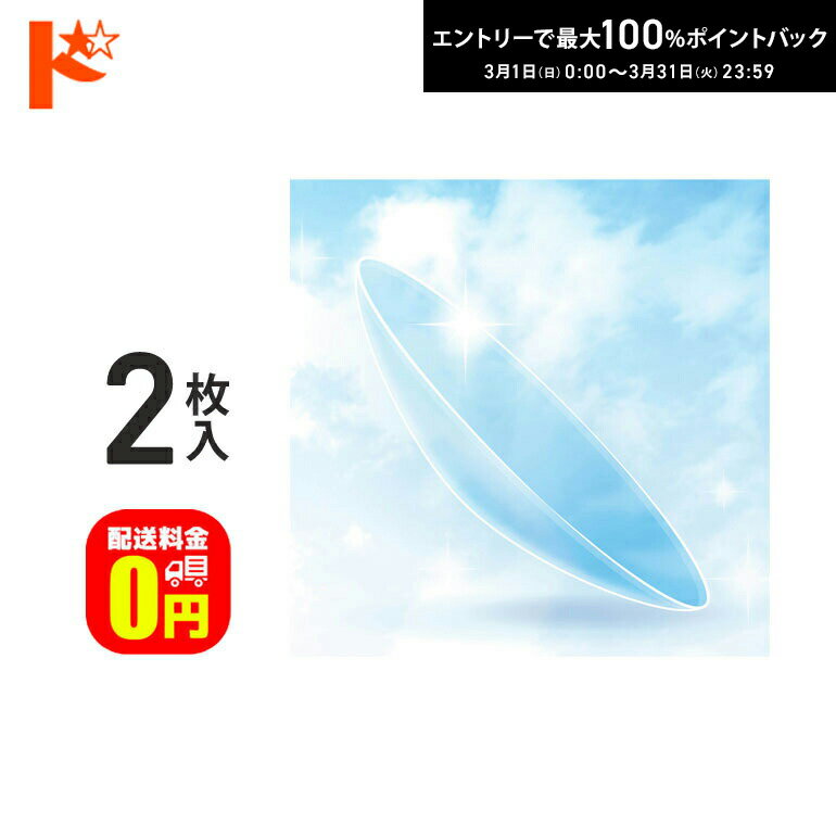 最大100%ポイントバック！3/31の23:59まで♪【送料無料】エスタージュEX-G 2枚セット ドリコン3ヶ月保証付 / 長期装用 ハードコンタクトレンズ 近視 遠視