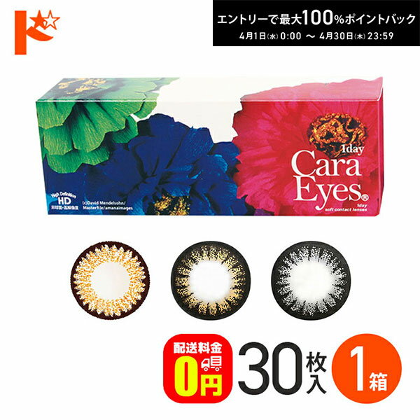 最大100%ポイントバック！4/30の23:59まで♪ワンデーキャラアイ 30枚入 1日使い捨てカラコン カラコン コンタクトレンズ 使い捨てコンタクトレンズ ワンデー 1day CaraEyes カラーコンタクト 度あり 度なし 1日使い捨て ドリームコンタクト【送料無料】