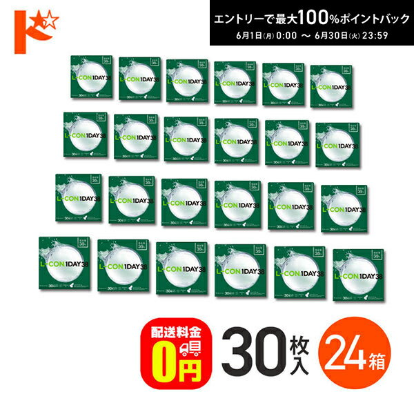【送料無料】エルコンワンデー38 コンタクトレンズ 30枚入 24箱セット 1day