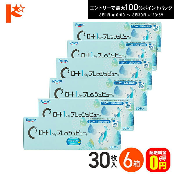 Rakuten - エントリーしてポイント5倍！6/11の1:59まで♪【送料無料】ロート 1day フレッシュビュー リッチモイスト2 《30枚入》 6箱セット 1日使い捨てコンタクトレンズ 高含水 クリアコンタクトレンズ UVプロテクト機能 紫外線 うるおい ROHTO ロート製薬