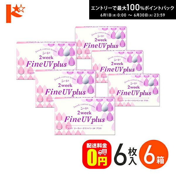 Rakuten - エントリーしてポイント5倍！6/11の1:59まで♪2ウィークファインUVプラス コンタクトレンズ 6枚入り 6箱セット 2week シード 紫外線 うるおい成分 クリアレンズ 北川景子【送料無料】