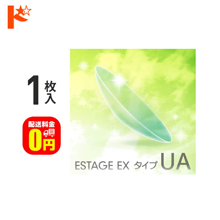 【送料無料】エスタージュEX タイプUA 1枚入 / エイコー EIKO 長期装用 連続装用可能レンズ 最長1週間 コンベンショナル ハードコンタクトレンズ ハードレンズ 近視 遠視 快適 疲れ目