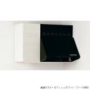 アイオ産業 SCHS 吊戸棚 不燃 間口300mm SCHS-300S カラー4色 送料無料エリア限定 キッチン