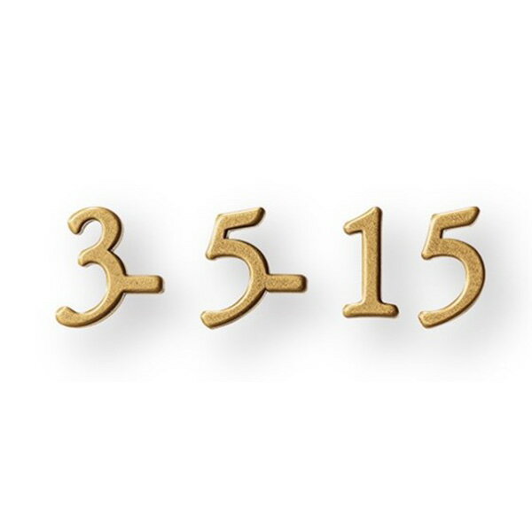 【11月はエントリーでP10倍】 福彫 表札 ラシック 真鍮切文字 番地オプション SKT-903