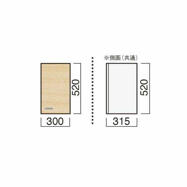【11月はエントリーでP10倍】 レマン 吊戸棚 幅30cm ライン取手仕様 底面不燃貼(カラー展開あり)