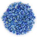 ドライフラワー 約200個入り ブルー 乾燥植物 標本花 スターフラワー レジン用 小さい 花 押し花 かわいい マルチカラー デコパーツ DIY 手芸 撮影 演出小物 アソートセット(色:ブルー)