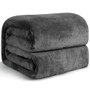 毛布 シングル 夏用 ブランケット 100x140cm グレーブラック マイクロファイバー 柔らかく肌触り フランネル 洗える 静電防止 四季適用 (100x140,グレーブラック)