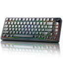 B75 75% 有線 メカニカルキーボード ホットスワップ対応 ガスケット搭載 RGBバックライト 高耐久 英語配列 PBTキーキャップ チェリープロファイル Win/Mac用 (グラデーション・ブラック, RGB ブルーグレー タクタイルスイッチ)