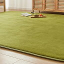カーペット ラグ 極厚25mm 約3畳 厚手 ラグマット 防音 滑り止め付 抗菌 防臭 防ダニ 低ホルム ふわっと手触り高反発 床暖房ホットカーペット対応 冬用 北欧 おしゃれ こたつ敷きマット 200×250cm グリーン