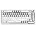 B75 75% 有線 メカニカルキーボード ホットスワップ対応 ガスケット搭載 RGBバックライト 高耐久 英語配列 PBTキーキャップ チェリープロファイル Win/Mac用 (ホワイト, RGB ブルーグレー タクタイルスイッチ)