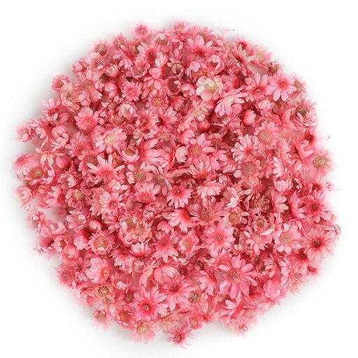 ドライフラワー 約200個入り ピング 乾燥植物 標本花 スターフラワー レジン用 小さい 花 押し花 かわいい マルチカラー デコパーツ DIY 手芸 撮影 演出小物 アソートセット(色:ピング) ドライフラワー 約200個入り ピング 乾燥植物 標本花 スターフラワー レジン用 小さい 花 押し花 かわいい マルチカラー デコパーツ DIY 手芸 撮影 演出小物 アソートセット(色:ピング)
