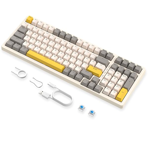 ZIYOULANG K3MAXメカニカル ゲーミング キーボード ホットスワップ対応 有線 96% 100キー 青軸 標準ANSI配列 USB接続 19のカスタムバックライトモード DIYキーボード 防水 全キーコンフリクトフリー 軽量 かわいい 日
