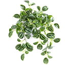 フェイクグリーン 光触媒 人工観葉植物【スイカペペ】ミニ インテリアグリーン 小さい 造花 卓上 世話いらず 水やり不要 オフィス ホーム デコレーション