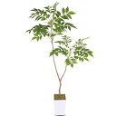 人工観葉植物 フェイクグリーン 光触媒 造花 人工植物 【シマトネリコ 高さ110cm】観葉樹 消臭 抗菌 インテリアグリーン おしゃれ オフィス 室内 装飾